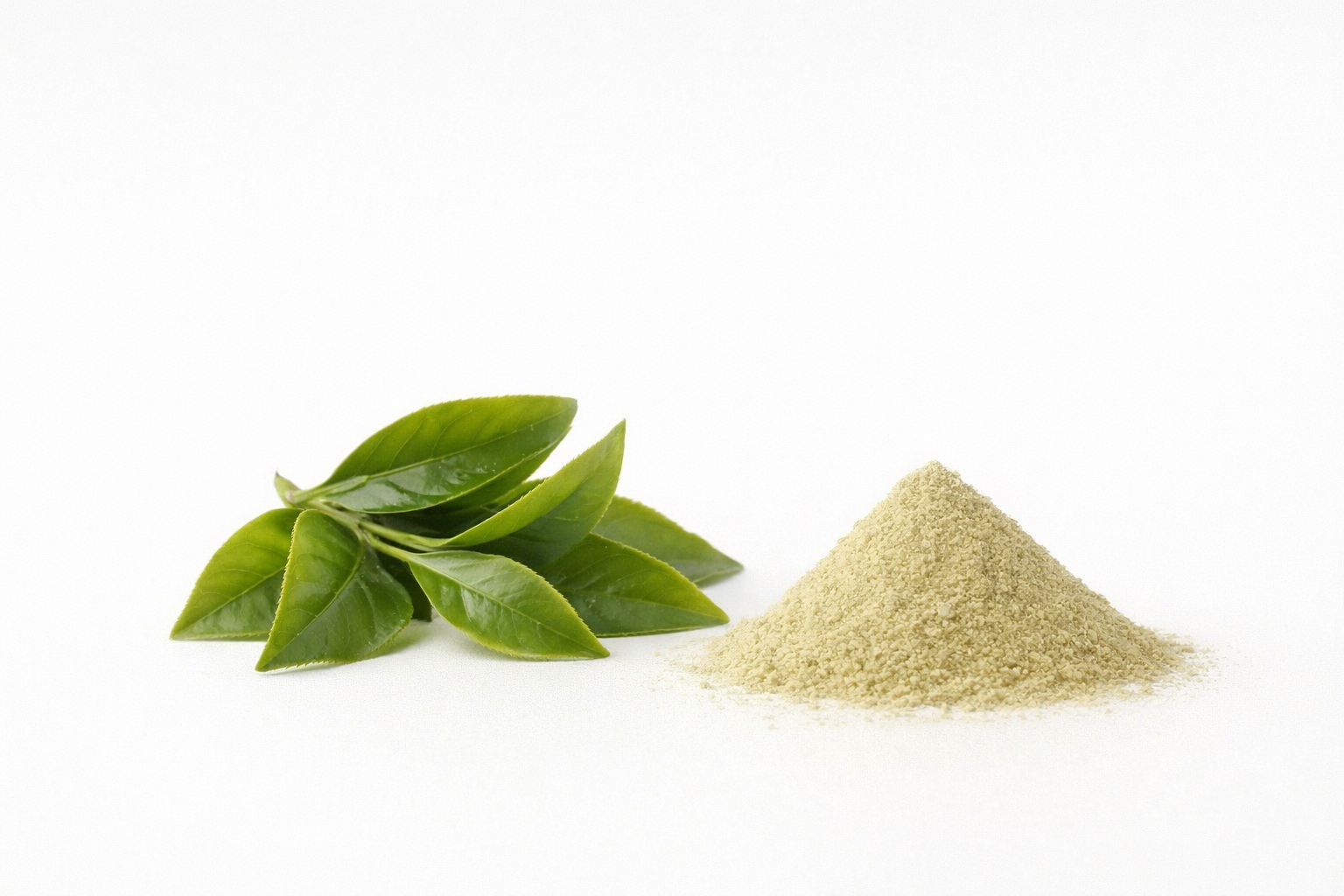 L-Theanine photo