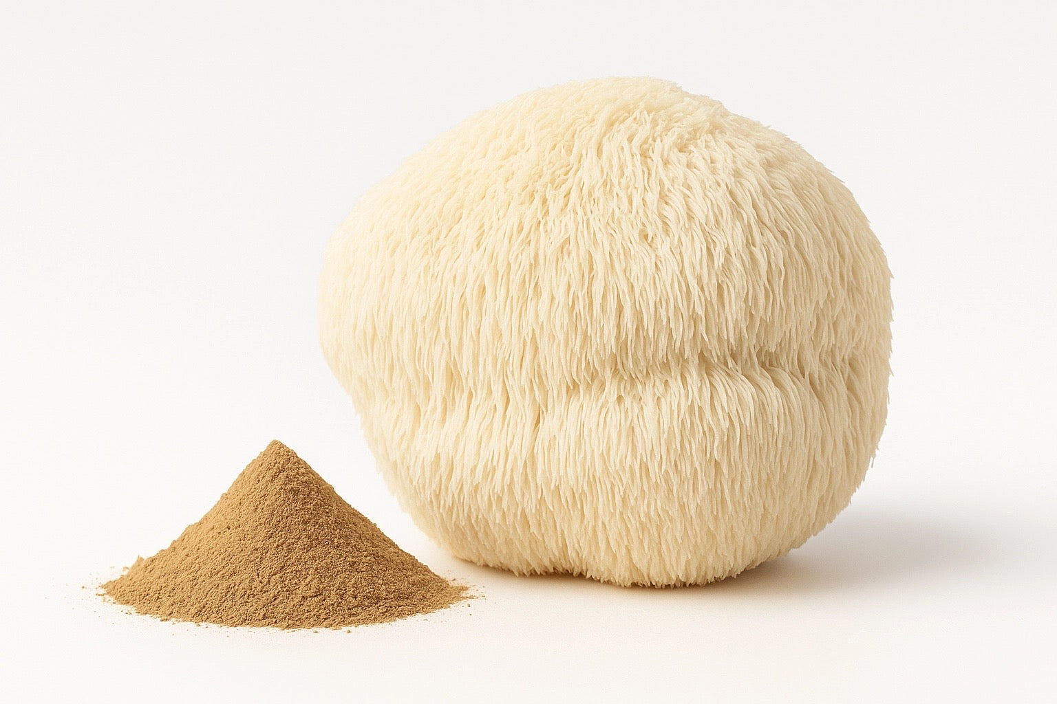 Lion's Mane photo