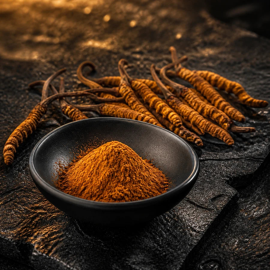 Cordyceps and extract powder